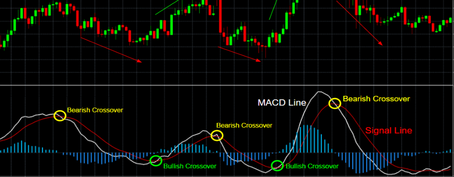 Hướng dẫn sử dụng MACD đúng chuẩn cho người mới