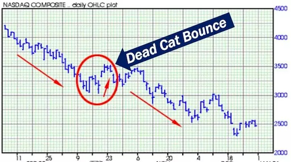 Dead Cat Bounce là gì? Ý nghĩa của cú nảy con mèo chết