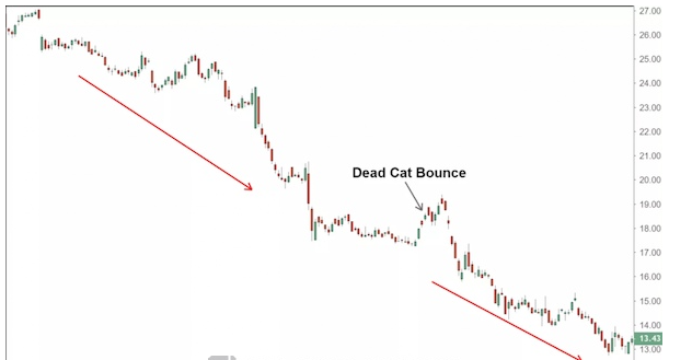 Dead Cat Bounce là gì? Ý nghĩa của cú nảy con mèo chết