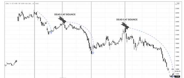 Dead Cat Bounce là gì? Ý nghĩa của cú nảy con mèo chết