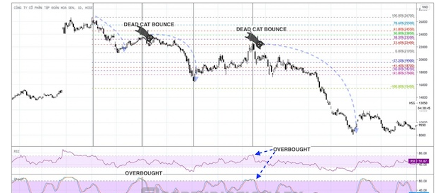 Dead Cat Bounce là gì? Ý nghĩa của cú nảy con mèo chết