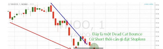 Dead Cat Bounce là gì? Ý nghĩa của cú nảy con mèo chết