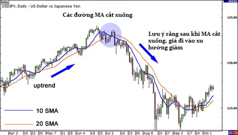 Học trade nghiêm túc. Bài 4 ĐƯỜNG TRUNG BÌNH ĐỘNG( Phần 2)