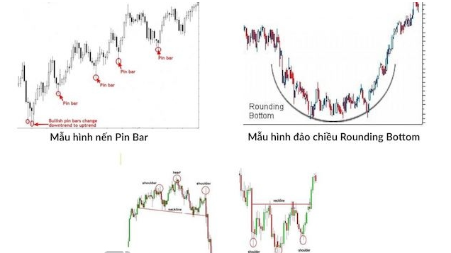 Panic Sell là gì? Nên làm gì khi xảy ra bán tháo ồ ạt?