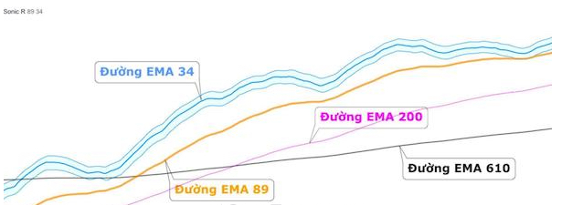 Sonic R là gì? Cách dùng Sonic R hiệu quả trong giao dịch