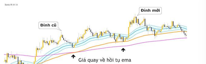 Sonic R là gì? Cách dùng Sonic R hiệu quả trong giao dịch