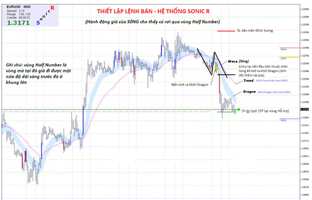 Sonic R là gì? Cách dùng Sonic R hiệu quả trong giao dịch