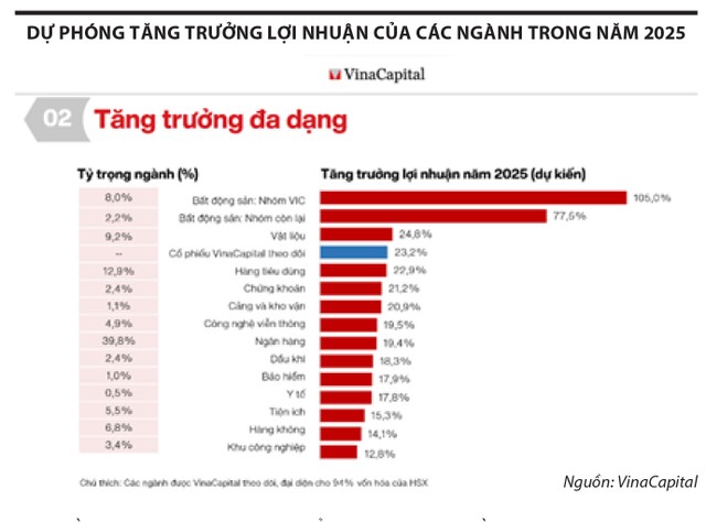 Mùa báo cáo kinh doanh phân hóa, chiến lược đầu tư nào cho giai đoạn mới?