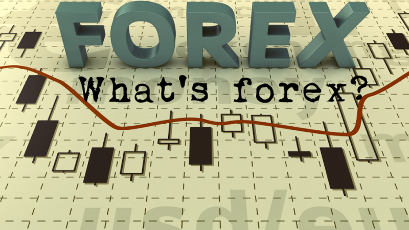 Forex cơ bản nhất dành cho người mới bắt đầu