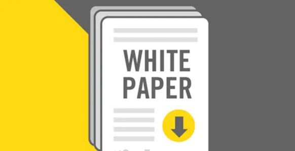 Whitepaper là gì? Sử dụng Whitepaper như thế nào hiệu quả?