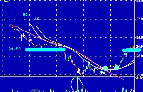 Panic Sell là gì? Nên làm gì khi xảy ra bán tháo ồ ạt?