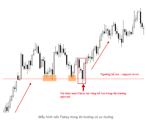 Mẫu hình nến Fakey là gì? Giao dịch hiệu quả với nến Fakey