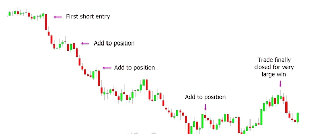 Position Trading là gì? Phương thức giao dịch Position Trading