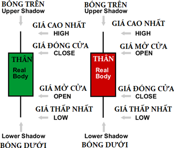 Học trade nghiêm túc. Các dạng biểu đồ