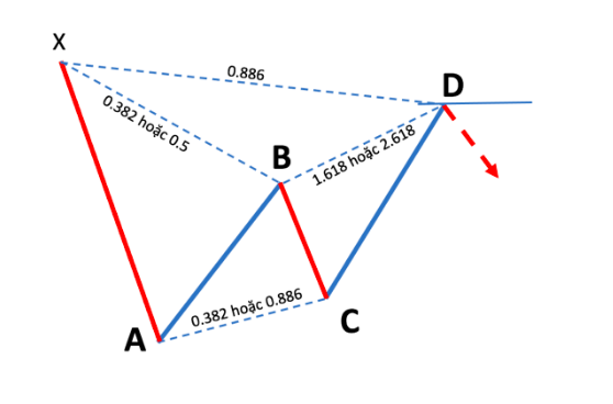 Mô hình giá Harmonic là gì? Cấu trúc Harmonic pattern và cách sử dụng P2