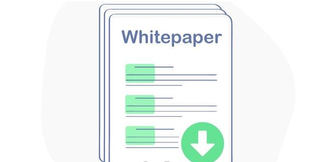 Whitepaper là gì? Sử dụng Whitepaper như thế nào hiệu quả?