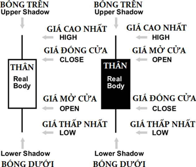 Học trade nghiêm túc. Các dạng biểu đồ