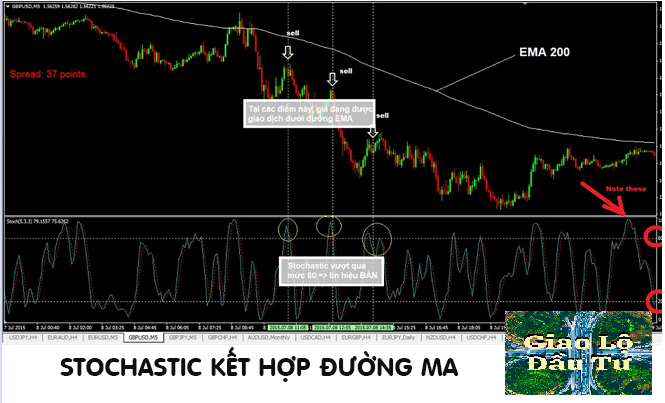 Stochastic là gì? Cách sử dụng chỉ báo Stochastic hiệu quả