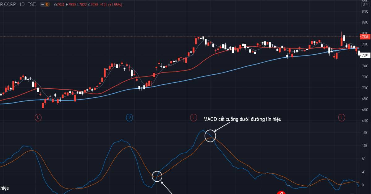 Những chỉ báo Forex nổi tiếng nhất hiện nay