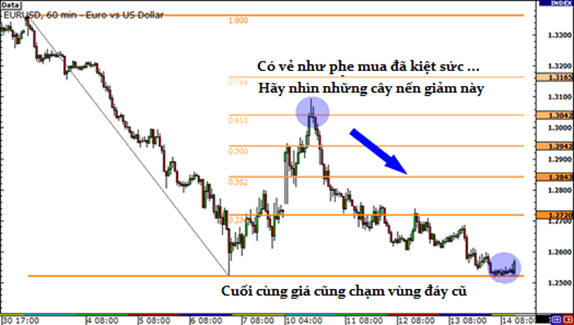 Học trade nghiêm túc.Bài 3: Fibonacci ( Tiếp)