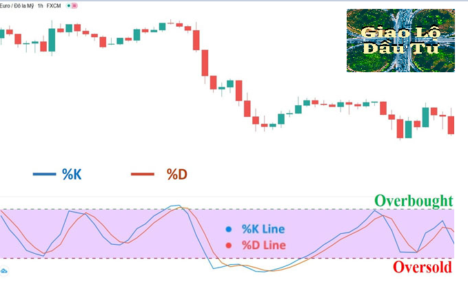 Stochastic là gì? Cách sử dụng chỉ báo Stochastic hiệu quả