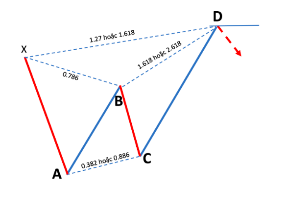 Mô hình giá Harmonic là gì? Cấu trúc Harmonic pattern và cách sử dụng P3