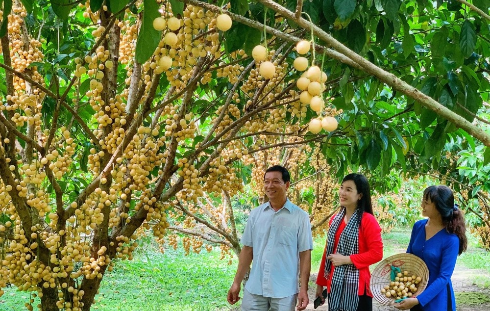 Du lịch Việt không thể thiếu mảnh ghép nông nghiệp