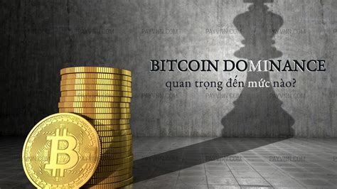 BTC Dominance là gì? Tầm quan trọng của chỉ số này đến ông vua tiền ảo như thế nào?