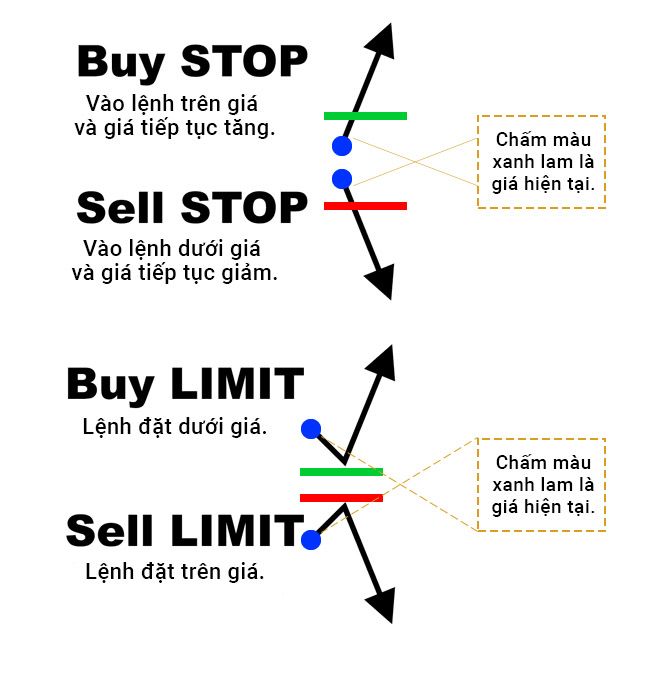 Các loại lệnh trong Forex: Ý nghĩa và cách đặt lệnh Forex hiệu quả