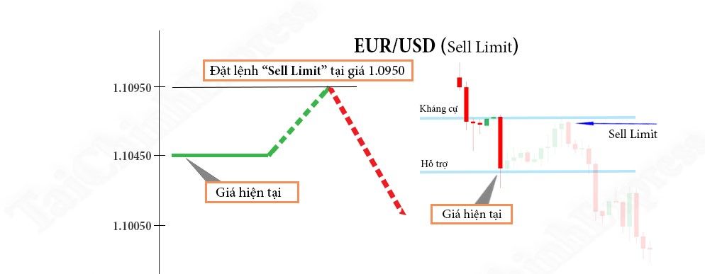 Các loại lệnh trong Forex: Ý nghĩa và cách đặt lệnh Forex hiệu quả