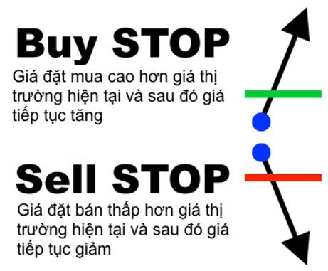 Các loại lệnh trong Forex: Ý nghĩa và cách đặt lệnh Forex hiệu quả