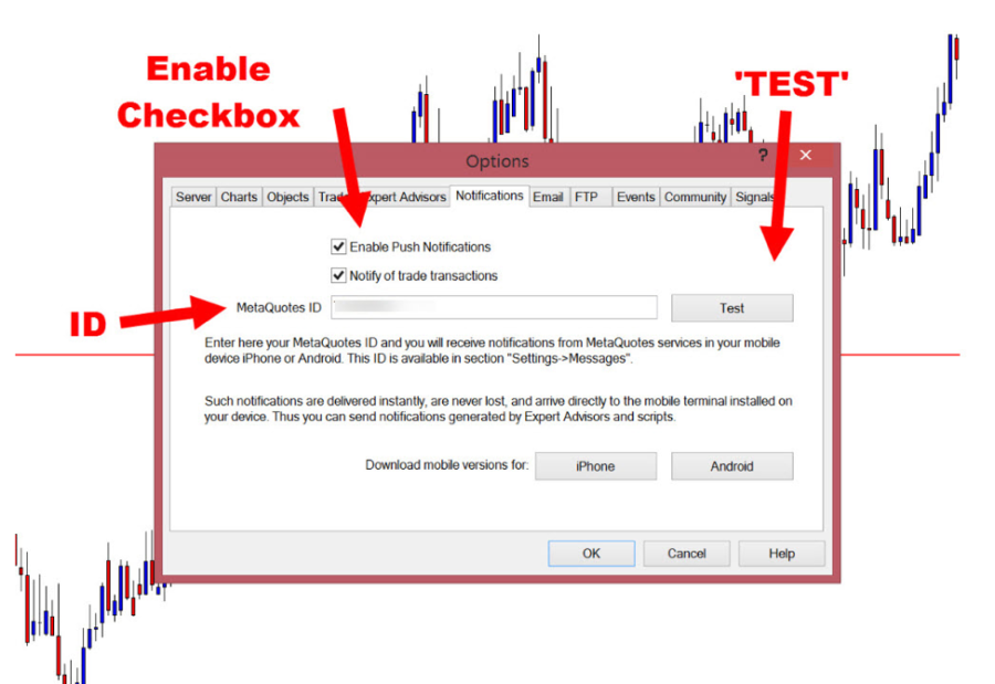 Cách thiết lập thông báo MT4 / MT5 ngay trên điện thoại của bạn