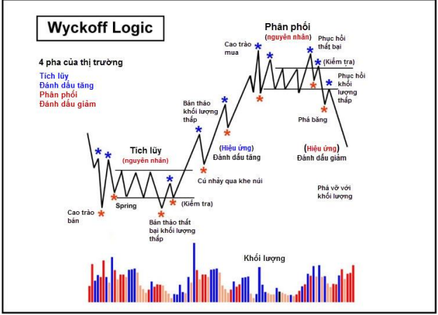 Phương pháp Wyckoff là gì? Cách ứng dụng mô hình Wyckoff( P1)