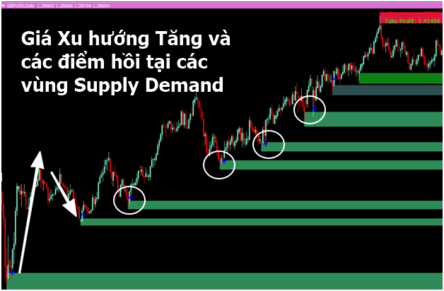 Hệ Thống Supply Demand Hiện Đại: Giao Dịch Như Trader Ngân Hàng với BOT Metatrader 4 Tự Động"