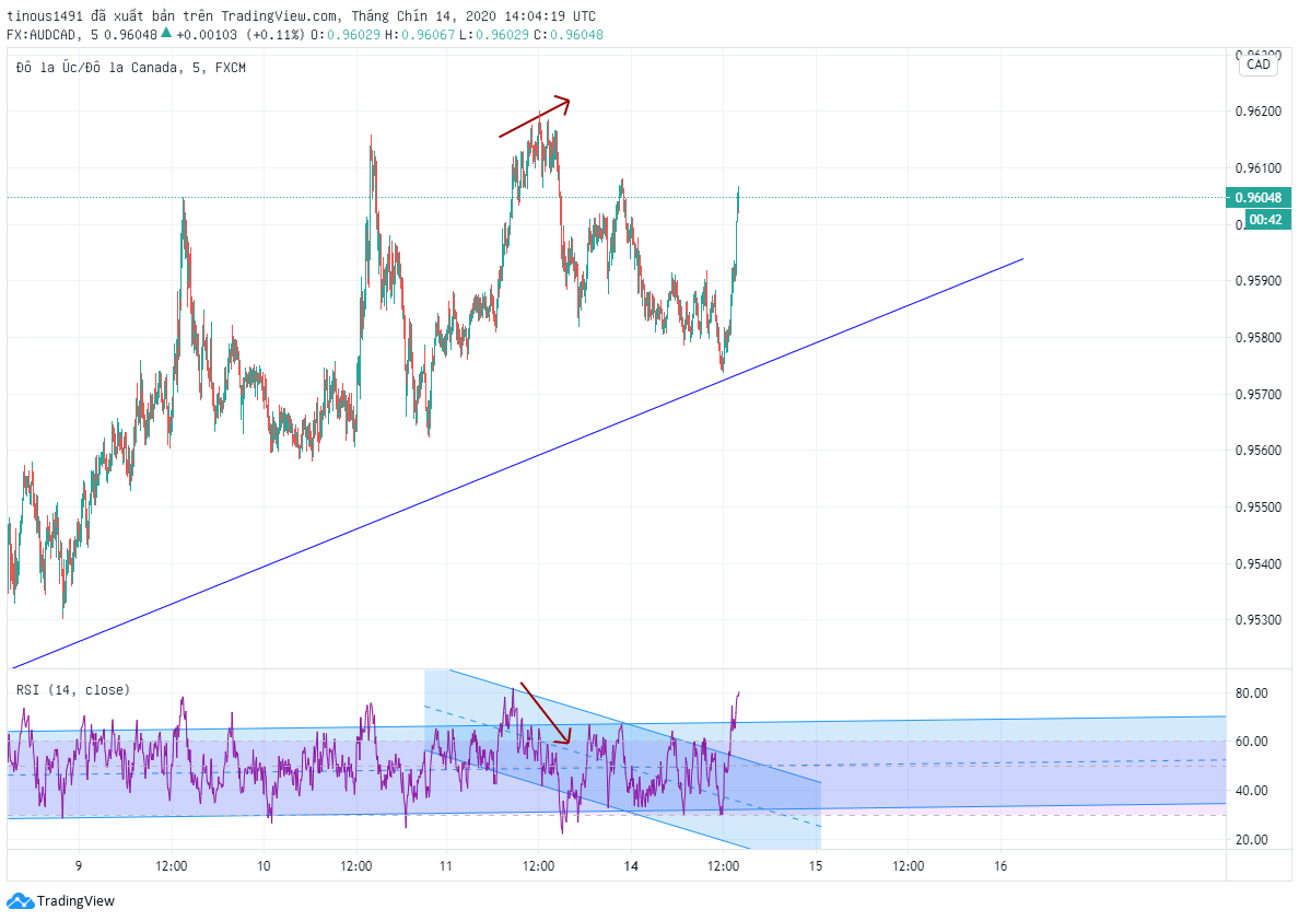 Cấu tạo RSI, phân kỳ RSI