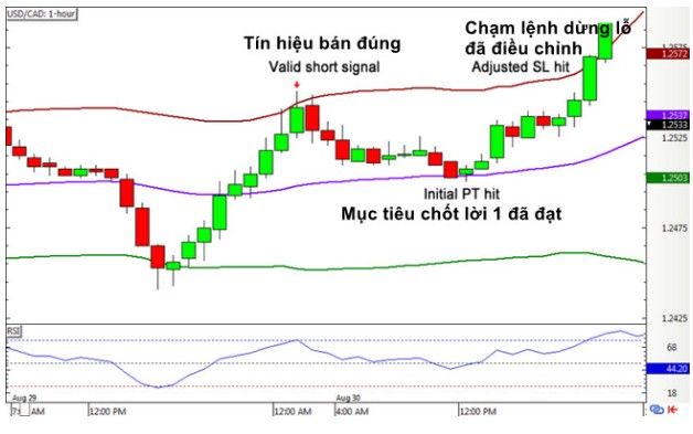 Bollinger Band là gì? Chiến lược sử dụng đường Bollinger Band