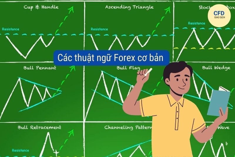 [List từ A đến Z] 1001 Các Thuật Ngữ Trong Forex ai cũng cần