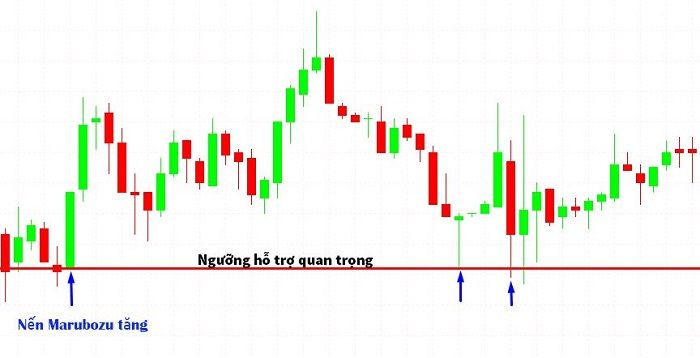 Nến Marubozu là gì? Cách phân biệt và cách thức giao dịch với nến Marubozu