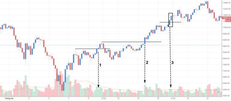 Bull Trap là gì? Cách nhận biết Bull Trap và phòng tránh bẫy tăng giá