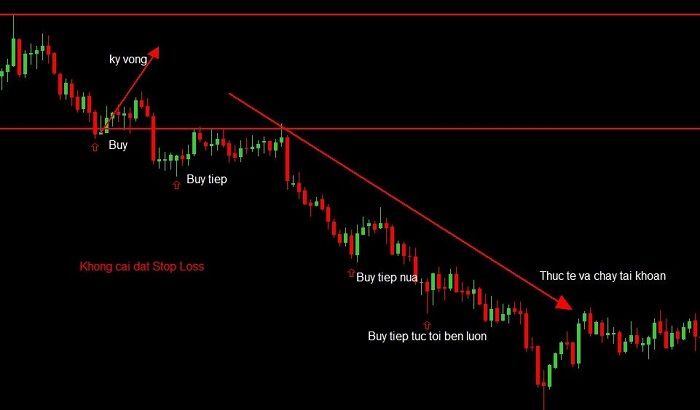 Stop out là gì? Cách phòng tránh stop out trong forex