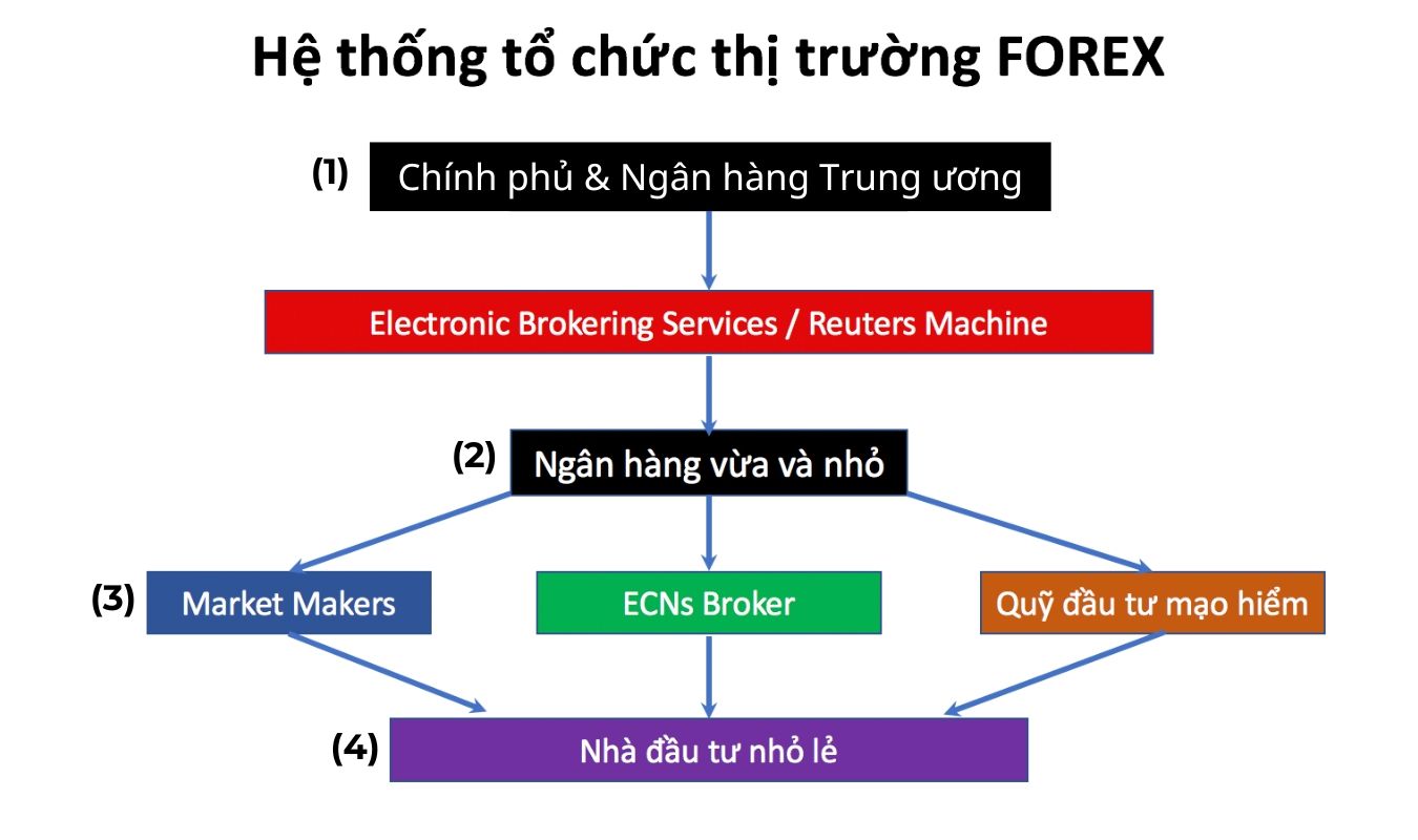 Cấu trúc thị trường Forex - Giải thích về thang cấu trúc Forex