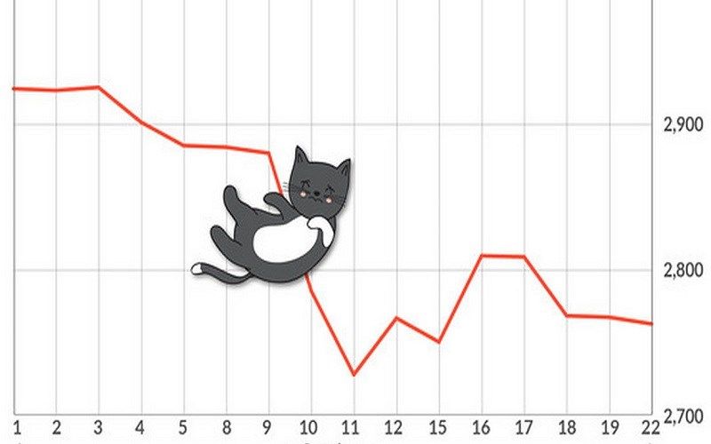 Dead Cat Bounce là gì? Ý nghĩa của cú nảy con mèo chết