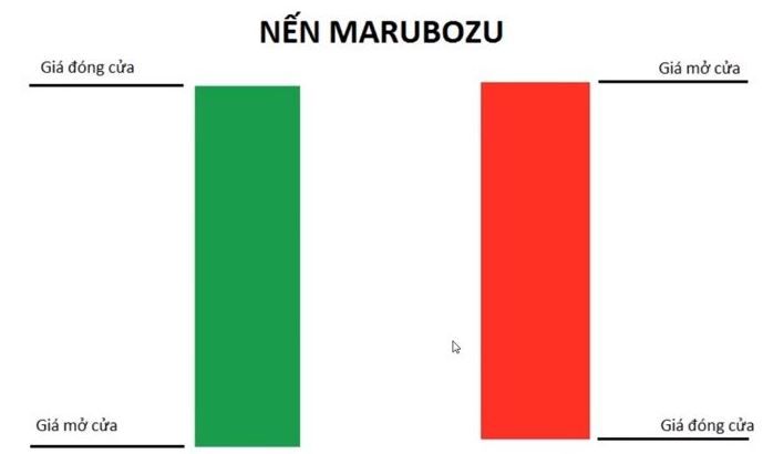 Nến Marubozu là gì? Cách phân biệt và cách thức giao dịch với nến Marubozu