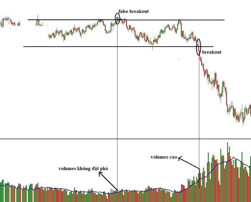 Break Out là gì? Làm thế nào để nhận biết Break Out đó là thật hay giả?