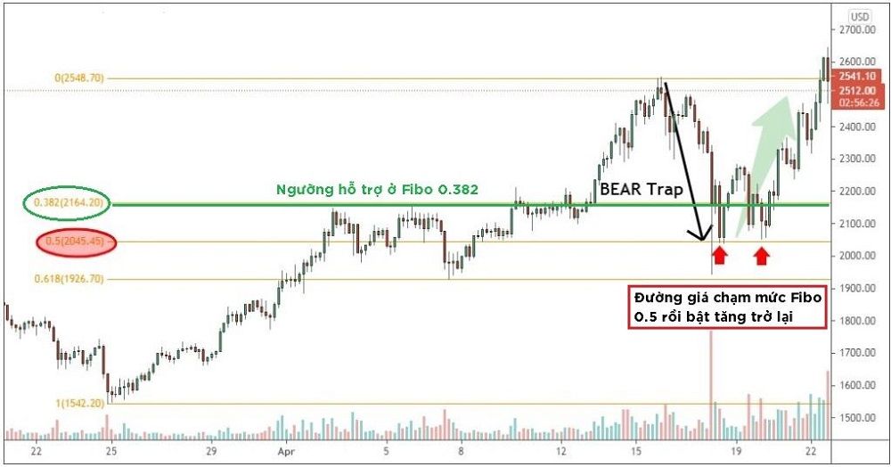 Bear Trap là gì? Cách nhận biết Bear Trap và phòng tránh bẫy giảm giá