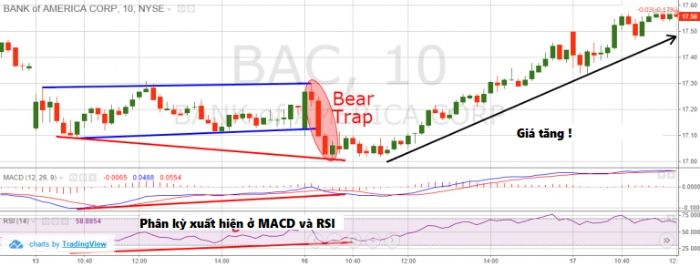 Bear Trap là gì? Cách nhận biết Bear Trap và phòng tránh bẫy giảm giá