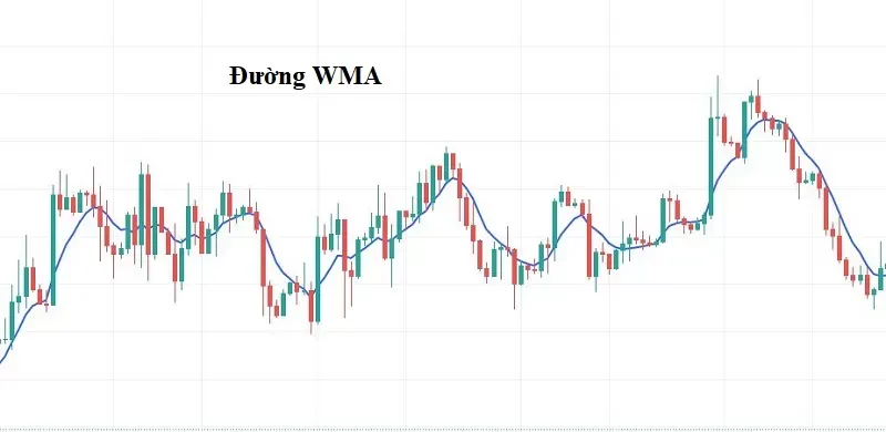 Đường WMA là gì? 3 phút khám phá chỉ báo WMA cho người mới bắt đầu