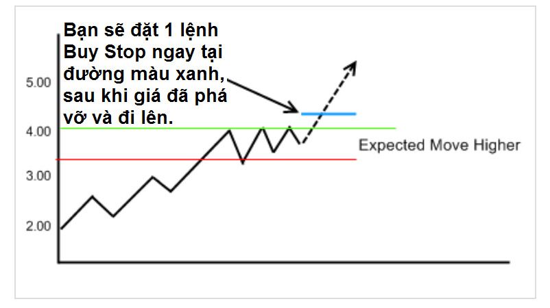 Các loại lệnh trong Forex: Ý nghĩa và cách đặt lệnh Forex hiệu quả