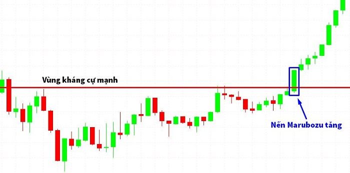 Nến Marubozu là gì? Cách phân biệt và cách thức giao dịch với nến Marubozu