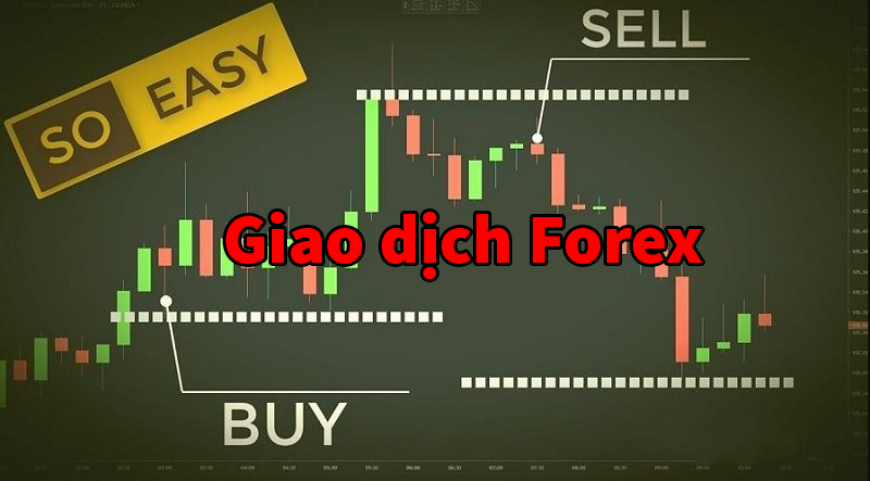 Forex là gì? Đầu tư forex là gì? Những điều cần biết về thị trường forex